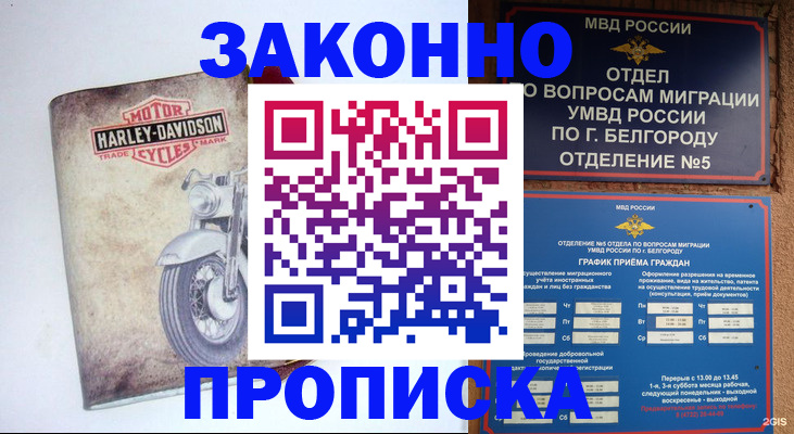 прописка для школы в Ковылкино